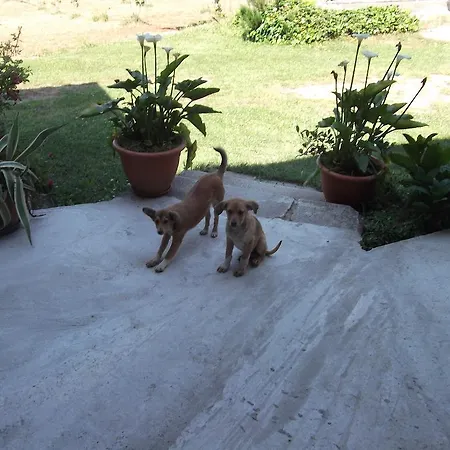 Misatere Casa di campagna